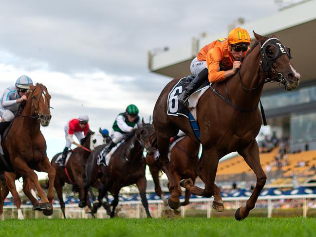 Jockey Blake Shinn and Tyzone charge to victory in the BRC Sprint.