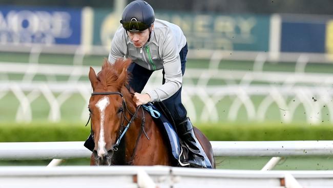 Jamie Spencer rides Light Infantry in a track gallop in Sydney.