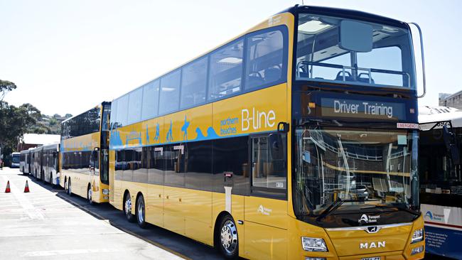 The B-Line bus service commences on November 26. Picture: Adam Yip