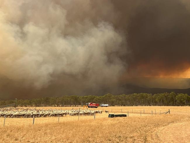 Supplied picture of the Grampians fire. Picture: CFA