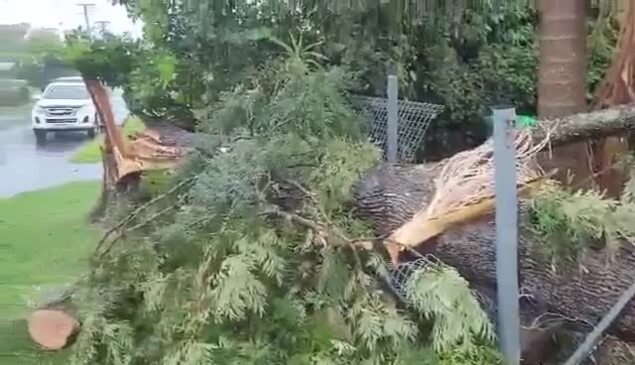 SES crews move in to help storm-battered Beerwah residents