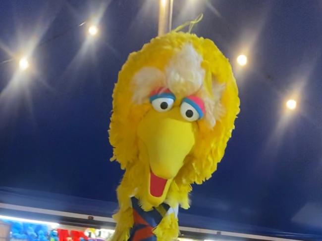 Police are investigating after a Big Bird costume was stolen from the Sesame Street Circus Spectacular at Bonython Park overnight. Picture: SA Police