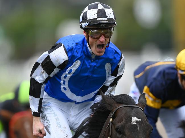 *APAC Sports Pictures of the Week - 2022, November 7* - MELBOURNE, AUSTRALIA - NOVEMBER 01: Mark Zahra riding #1 Gold Trip wins race seven, the Lexus Melbourne Cup during 2022 Lexus Melbourne Cup Day at Flemington Racecourse on November 01, 2022 in Melbourne, Australia. (Photo by Quinn Rooney/Getty Images)