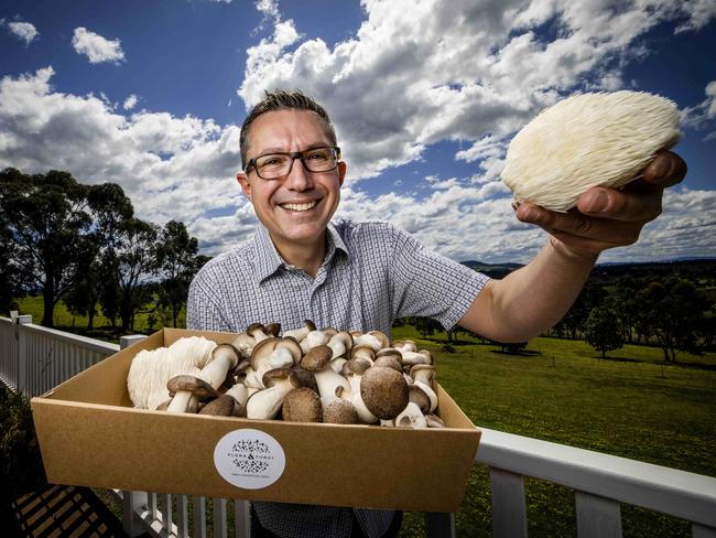 Bien Lema and his mushrooms. Picture- Nicole Cleary