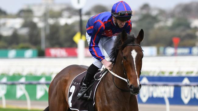 John Allen heading to the barriers on Ayrton at Flemington. Picture: Vince Caligiuri