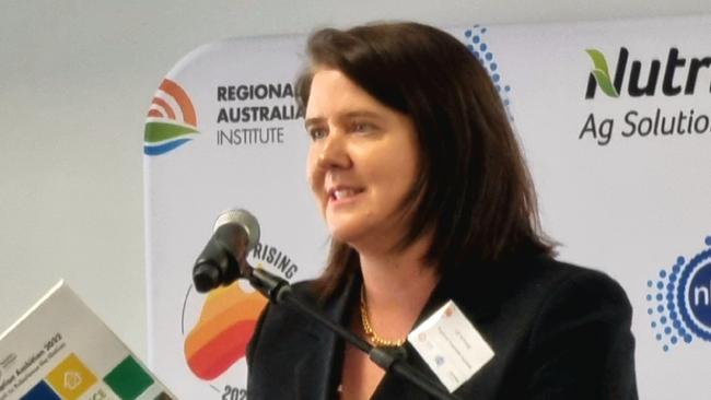 Regional Australia Institute chief executive Liz Ritchie.