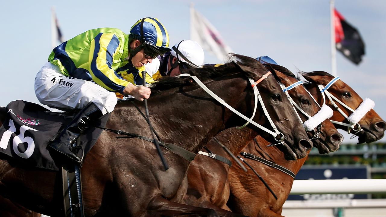 Melbourne Cup 2014: Kris Lees sticks to proven “Doriemus blueprint ...