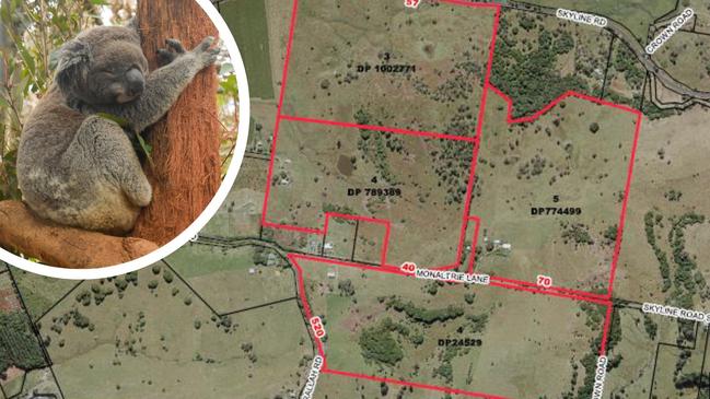 The fight continues over the rezoning of rural land in Monaltrie, which is a koala habitat.