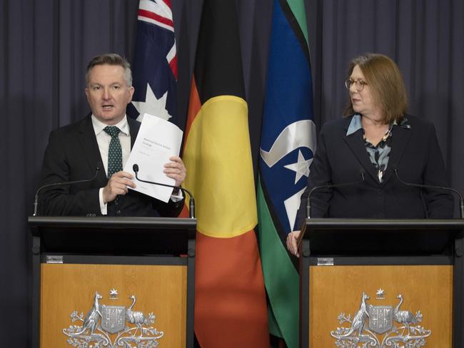 Chris Bowen and Catherine King. Picture: Gary Ramage/NCA NewsWire