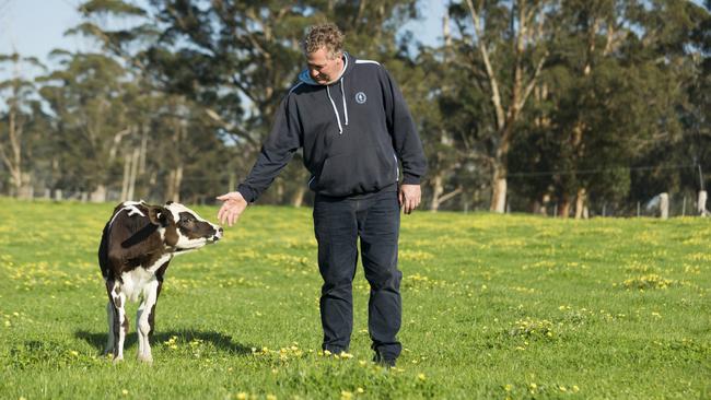 Scene to believe: Matthew Daubney on his dairy farm at Northcliffe in Western Australia.