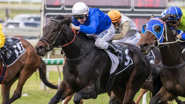 Former Godolphin gelding Plague Stone is a great each-way value. Picture: AAP