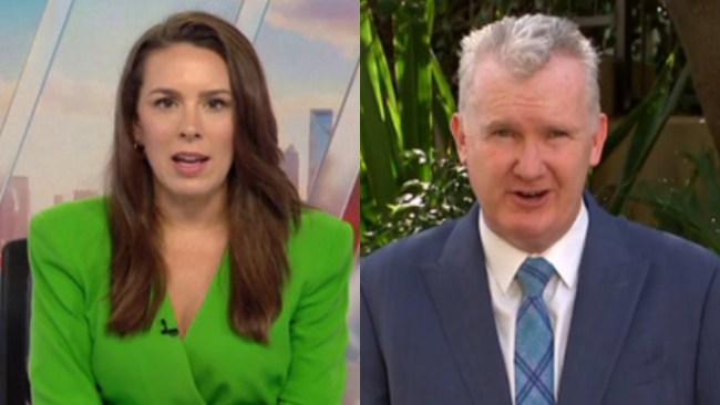 Laura Jayes calls out Employment Minister Tony Burke over major concern ...