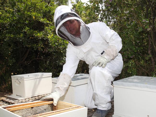 Save the Bees Australia founder Simon Mulvany.