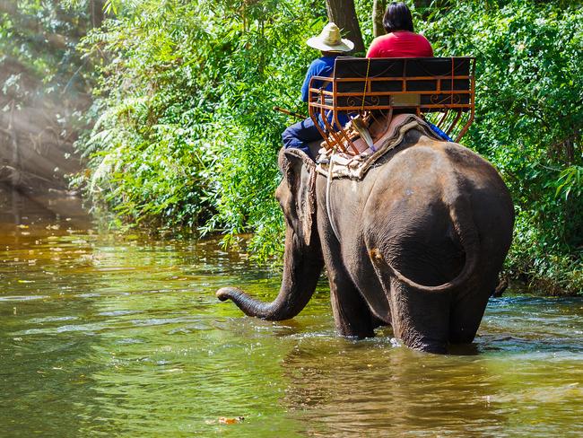 Elephant rides, and other wildlife venues have been slammed in Bali.