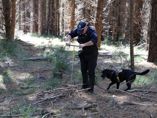 A bushland search underway in investigation into disappearance of Jessica Zrinski