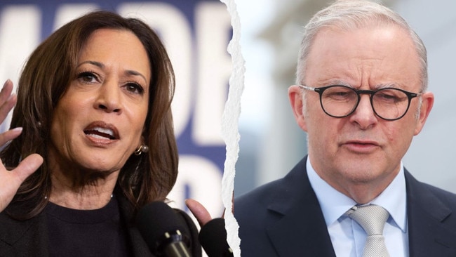 Harris and Albanese bonded by lack of political nous