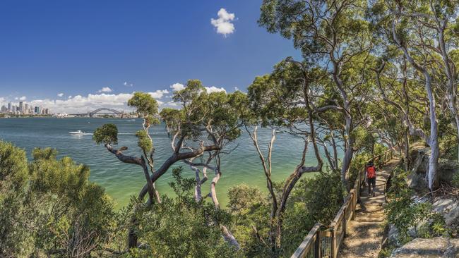 Views of Sydney Harbour from the Bradleys Head walking trail, Mosman. Pictures: Destination NSW