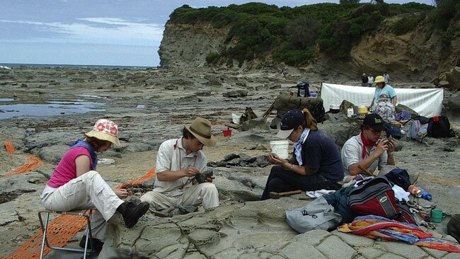 A group of volunteers examine rock excavated from the fossil layer at Dinosaur Cove, Inverloch.