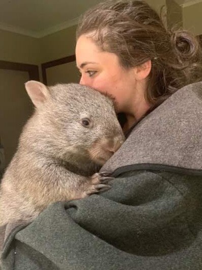 Emily Small and Roger the wombat from the Goongerah Wombat Orphanage in East Gippsland.