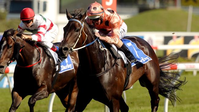 Luke Nolen rode Black Caviar in 22 of her 25 wins. Picture: Sam Ruttyn