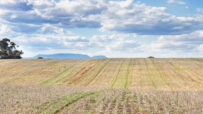 The Williamsons Road farm at Glenthompson has been purchased by two local farmers.