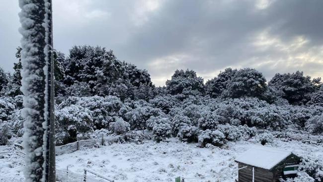 Snow at Waratah, Tasmania on 04/08/2020. Photo: Mathew Robinson