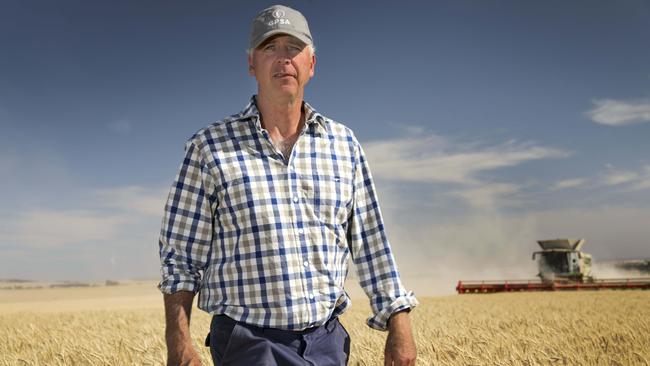 Grain Producers SA director Adrian McCabe in a wheat field near Tarlee. (AAP Image/Dean Martin)