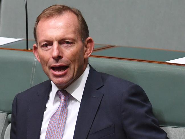 Tony Abbott reacts during a motion to suspend standing orders moved by Australia's Opposition Leader Bill Shorten in the House of Representatives at Parliament House this afternoon. Picture: AAP