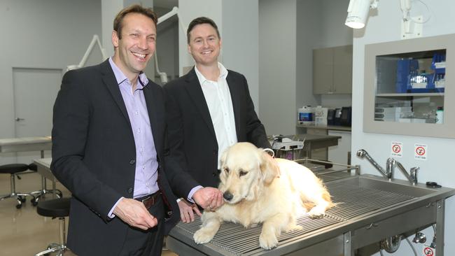 Ormeau-based National Veterinary Care chief executive Tomas Steenackers (left) and CFO Jason Beddow with Frankie the dog. Picture: Mike Batterham