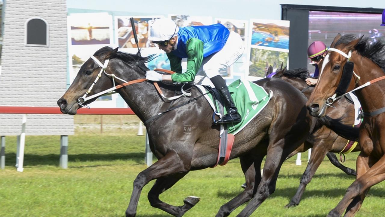 Sapphire Coast, Hawkesbury previews: Dryden eyeing season fightback