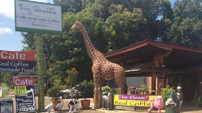 The Big Giraffe at Bororen. Photo: File