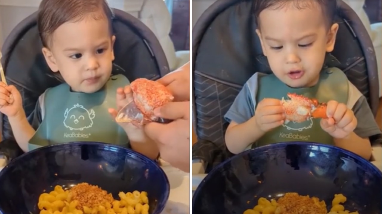 chef handy baby food｜TikTok Search