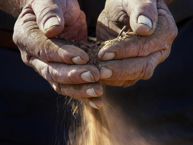 2/10/2002. Farmer Ross Heinrich weathered hands holds fertile but dry soil at Rainbow. Drought. Digital image.