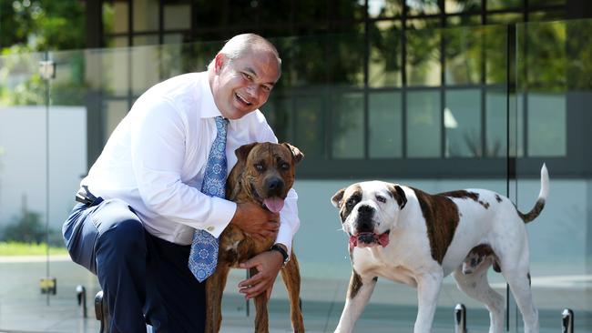 Tom Tate relaxing at home with Jaidee and Boss. Picture: Nigel Hallett.