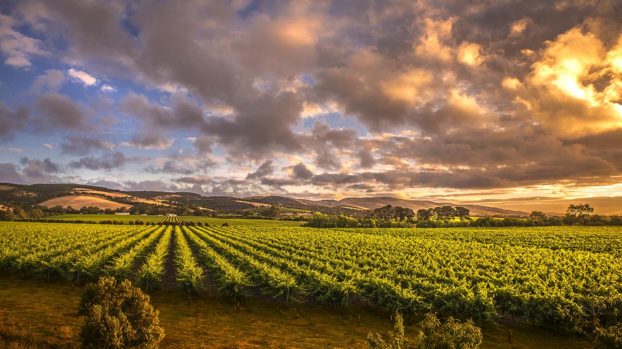 The Barossa Valley is one of the world’s great wine regions. Picture: iStock