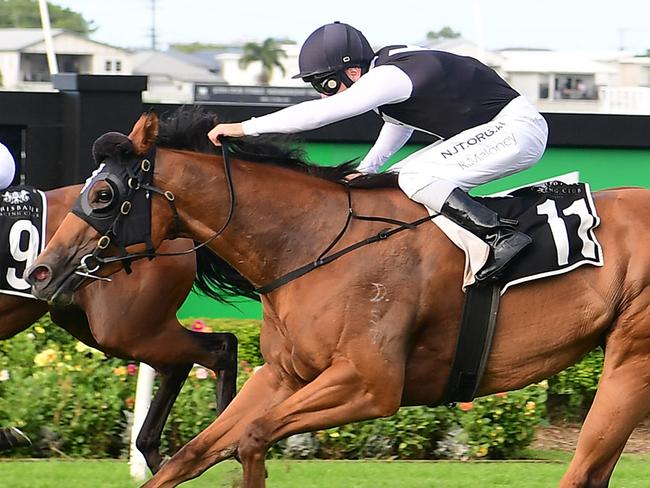 Trainer Tony Gollan and jockey Ryan Maloney after isotope won the Gold Edition Plate beating Away Games at Doomben. Picture: Trackside Photography
