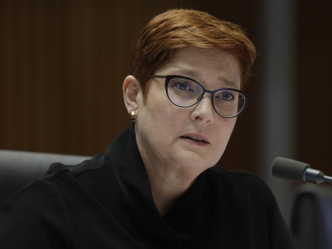 Marise Payne. Picture: Sean Davey.