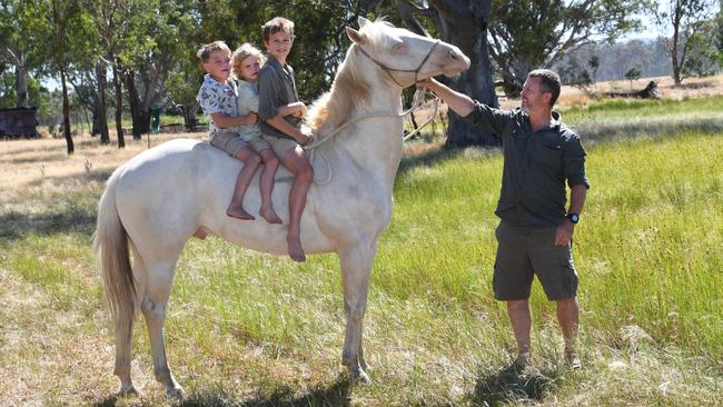 Bodhi with Dusty, Tully and dad Tim at home on the farm, on horse Titan. Picture: Supplied