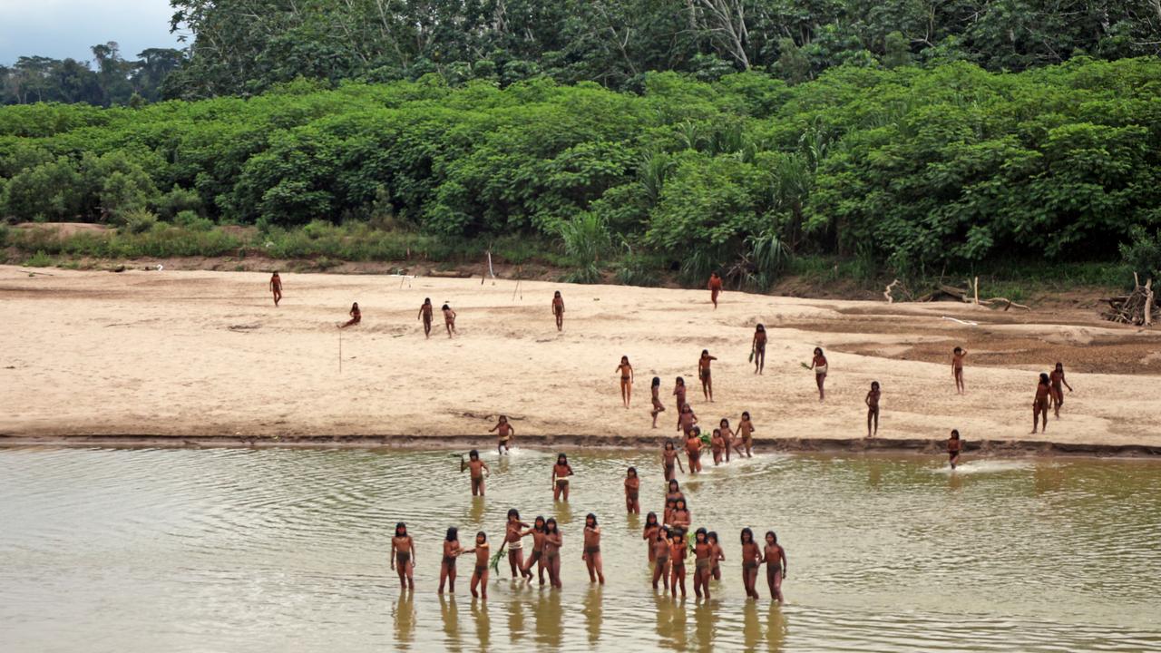 The Mashco Piro people were photographed in large numbers close to land that was being logged last year. Picture: Survival International