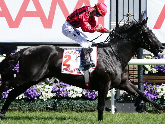 Prized Icon and Glyn Schofield combine to win the feature event at Flemington. Picture: Norm Oorloff