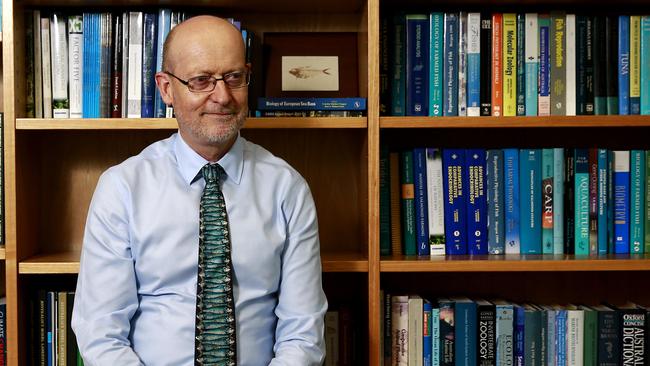 Griffith Senior Deputy Vice Chancellor and new Titans board member Prof Ned Pankhurst for think tank column. Picture: Jerad Williams