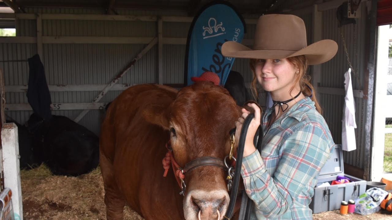 Alex Olive with Apis Creek's Brangus bull Davey Gravy. Davey Gravy is a led steer Brangus. Picture: Matthew Forrest