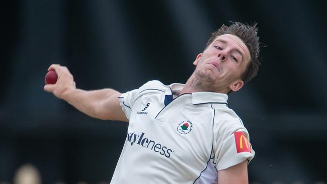 Ryan Hadley’s cricket fortunes are on the rise.