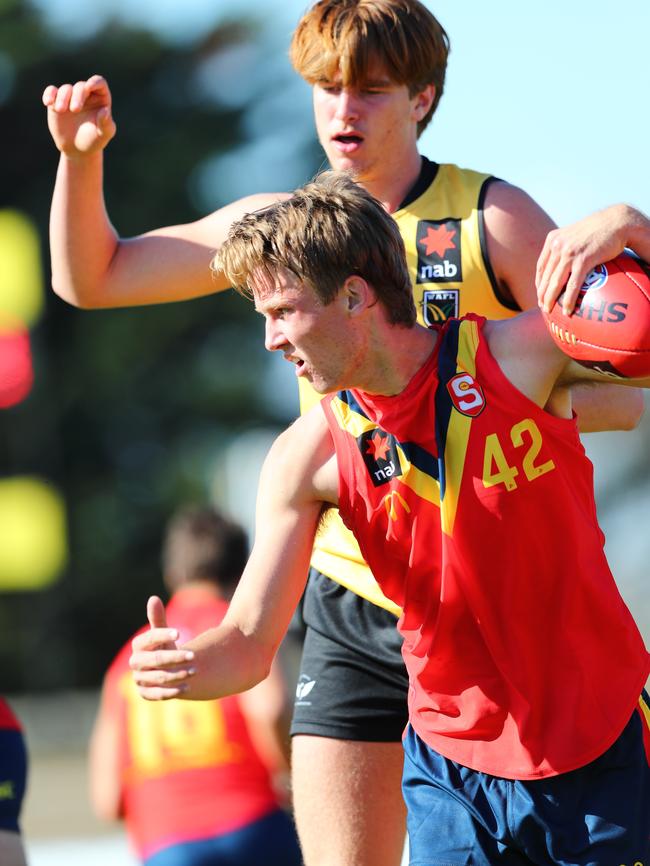 Jack Lukosius marks for South Australia against Western Australia at Alberton Oval earlier this month. Picture: Tait Schmaal