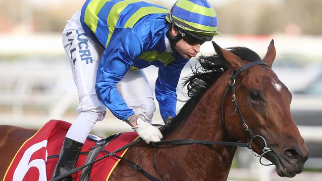 Nick Hall is focused on snaring his second Caulfield Cup win. Picture: Michael Klein