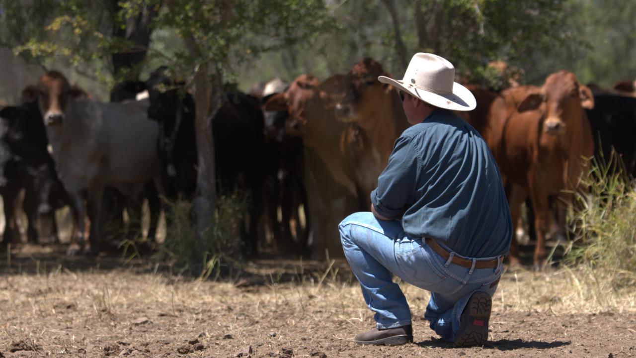 Unearthing the new cash crop for farmers