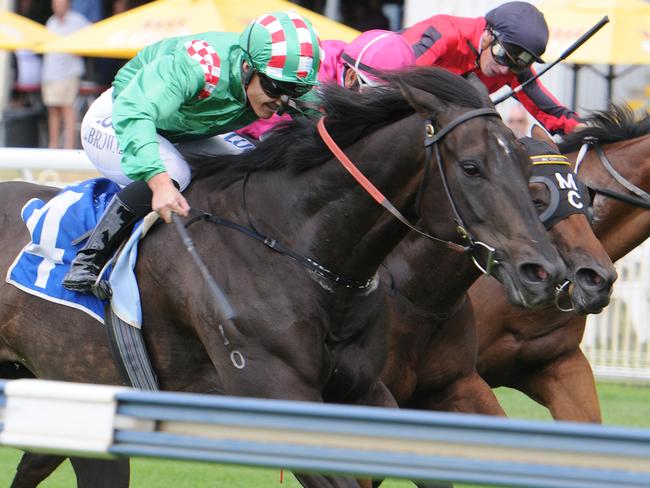 Trackside today: All the action from Doomben