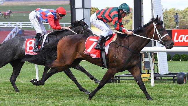 Straight Arron can bounce back from his last start second. Picture: Getty Images