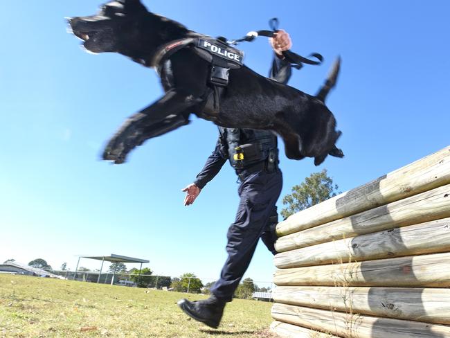 Sergeant Darren Breuer and cash-detection dog Flipa. Picture: John Gass/AAP