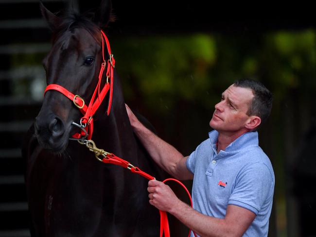 Adam Trinder with Cox Plate contender Mystic Journey at her Flemington stables.